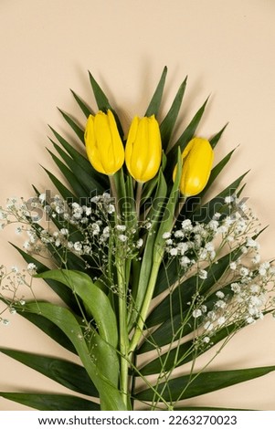 Bouquet of flowers of tulips and gypsophila on a beige background, hello spring, from March 8.