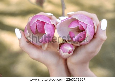 Magnolia woman hands. Girl holding blooming magnolia flowers in the park in spring