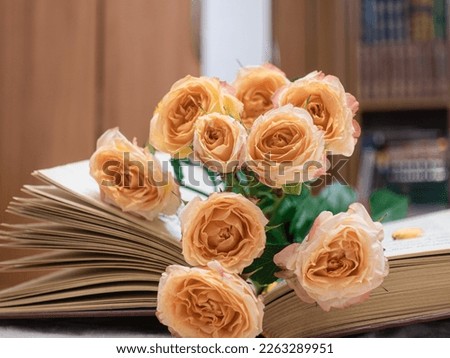 A bouquet of pink roses lies on a book. Thirst for knowledge, interesting book