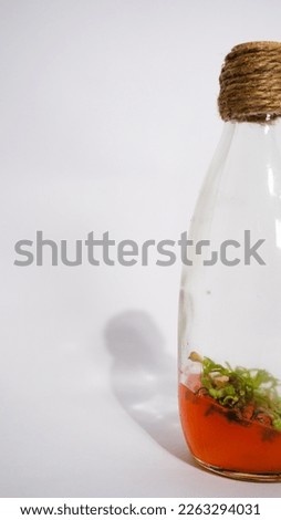 Young shoots of orchid, aglaonema, nepenthes and wave of love plant rooted in transparent glass bottle in jelly medium. A beautiful picture of decorative plants in bottle.
