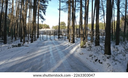 A snow-covered winter country forest road leads to an abandoned base in the middle of a pine forest. An ice-covered forest road leads to a snow-covered village in winter.