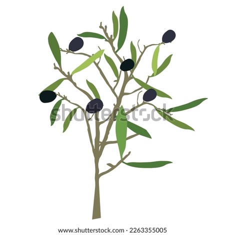 Abstract silhouette vector olive tree. illustration on a white background design. 