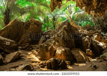 Landscape of cave and tree Hup Pa Tat, Uthai Thani, Thailand