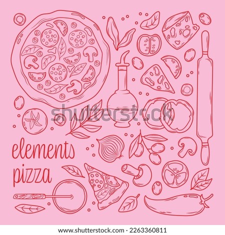 vector hand drawn pizza elements set