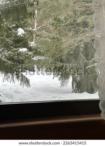 photo from the window to the ski resort and the forest in winter