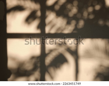 ฺBlurred shadow of window frame overlapped on tree leaves texture and background. Royalty-Free Stock Photo #2263451749