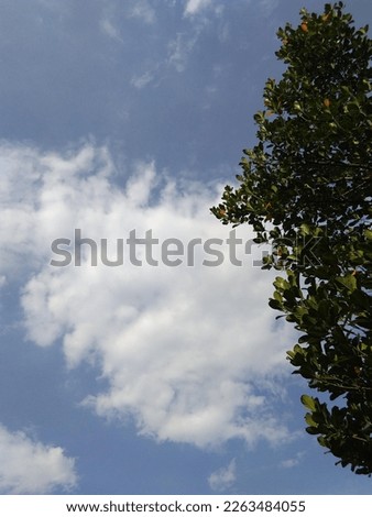 a picture of clear blue sky with beautiful cloud