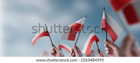 A group of people holding small flags of the Poland in their hands. Royalty-Free Stock Photo #2263484595