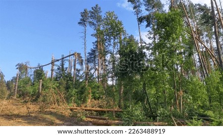At the epicenter of the thunderstorm and storm, a forest area was damaged. Trees were broken in half or uprooted. Tree parts, trunks, branches and limbs were lying on the ground. Some trees were bent Royalty-Free Stock Photo #2263488919