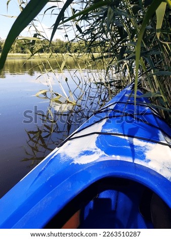 Blue kayak in the reed beds on the surface of the water on a summer morning.