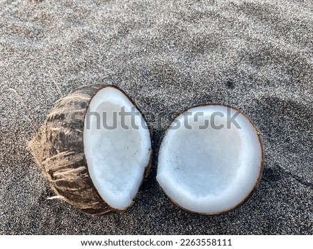 coconut on black sandy at the beach