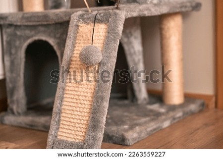 Scratching post for cats in apartment interior. Activity for a domestic pet.