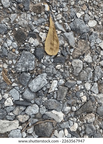 Gravel collection that forms a road