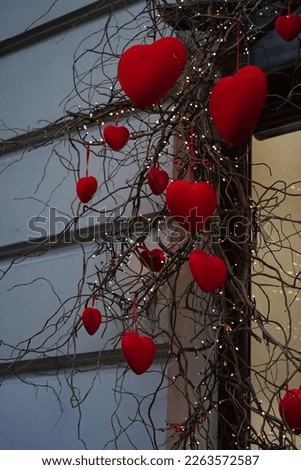 Close-up of red velvet hearts on willow branches among garland of lanterns,festive decor for Valentine's Day.Beautifully decorated shop window in the city.Cityscape, hearts in snow.