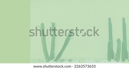 Green Background wall with blur cactus 