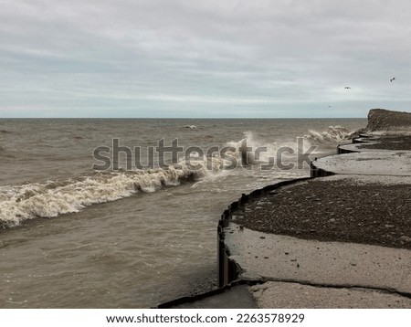 Winter storm waves on Lake Erie
