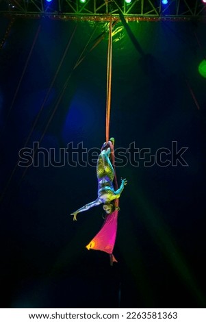 Variety circus fashion acrobat art show