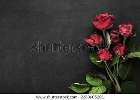Fresh red roses on dark black table background. Closeup. Condolence card. Empty place for emotional, sentimental text, quote or sayings. Royalty-Free Stock Photo #2263605201