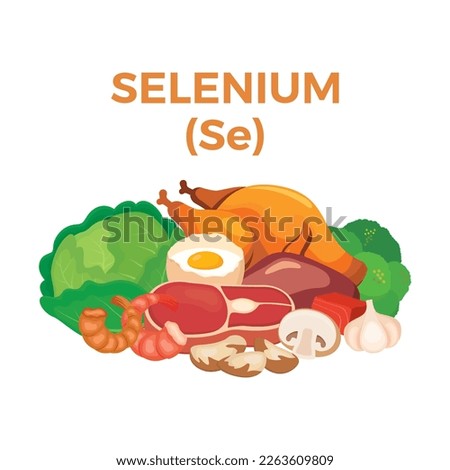 Selenium (Se) in food icon vector. Selenium food sources vector illustration isolated on a white background. Brazil nuts, meat, turkey, cabbage vector. Pile of healthy fresh food drawing Royalty-Free Stock Photo #2263609809