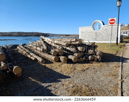 A pile of logs sitting next to the water on a winter day.