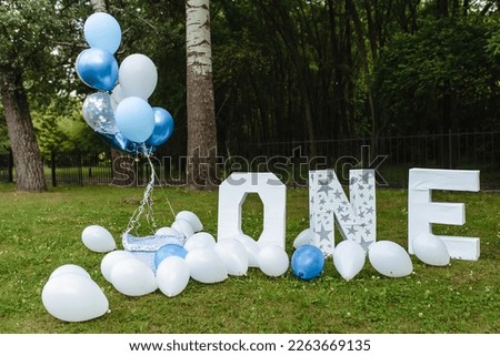 inscription one year old birthday white and blue balloons