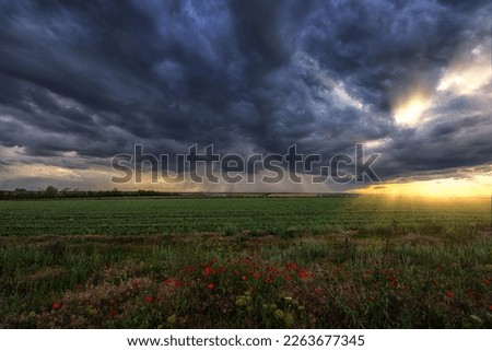 Thunderstorm over a green field with poppies in the foreground, strips of rain in the distance and the sun's rays from the clouds Royalty-Free Stock Photo #2263677345