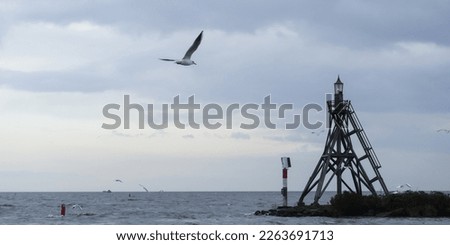 background pictures of light house with birds and dramatic sky.