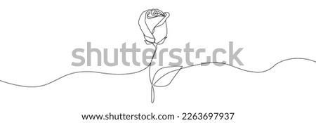 Rose with leaves one line drawing.Continuous line drawing of flower.Hand drawn rose.Single one line flower rose.