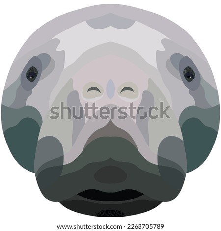 The face of a manatee. An illustration of the muzzle of a manatee is depicted. Bright portrait on a white background. Vector graphics. animal logo.