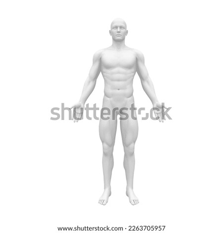 Geometric shape of the human body -model Royalty-Free Stock Photo #2263705957