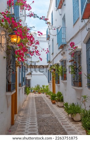 whitewashed streets of the jewish quarter of the spanish city cordoba