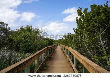 A scenic Florida nature trail. Royalty-Free Stock Photo #2263760875
