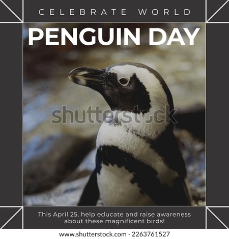 Composition of world penguin day text over penguin. World penguin day, wildlife and nature concept digitally generated image.