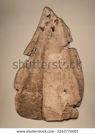 Ancient China Oracle characters carved on tortoise shells or animal bone during the Yin Shang period Royalty-Free Stock Photo #2263776601