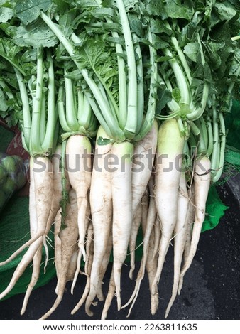 Pile of radish in market at Asia
