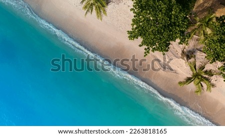 The tropical Summer with wave water as white sand beach  and palm trees background
