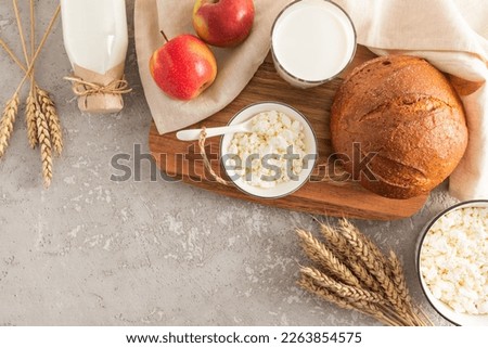 traditional treats and symbols of the Jewish spring holiday of Shavuot on a gray cement background with a copy of the space.