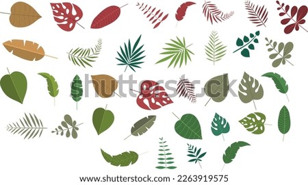 Vector illustrations of tropical leaves. Modern exotic design. Clipart, isolated elements.