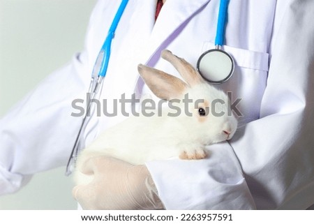 Rabbit needs veterinary care, sick and injured bunny pet has check-up at a vet clinic, hand of doctor wearing gloves gently holding rabbit.