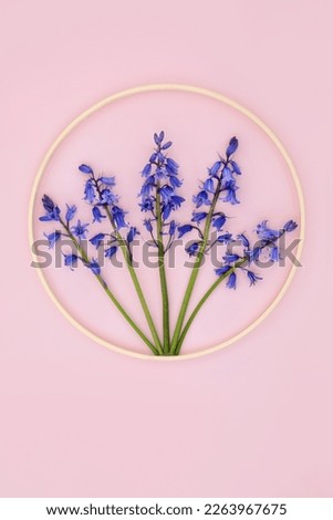 Bluebell wild flower abstract design composition with round wooden  wreath frame. Beautiful Spring nature flower arrangement on pink background. 