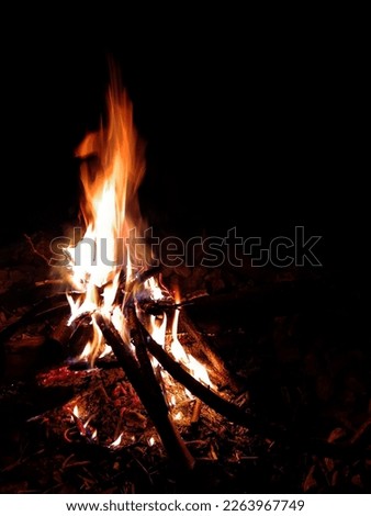 Bright campfire in nature on an autumn night.