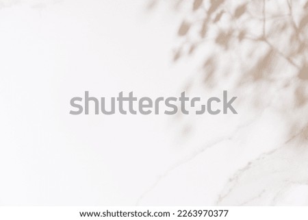 Aesthetic product presentation backdrop made with natural blurred shadow of summer flowers on white table. Top view, copy space.