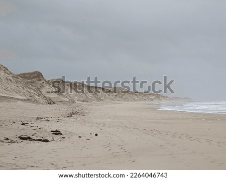 Sand beach with large dunes on a foggy day. Nordic sea sand storm Royalty-Free Stock Photo #2264046743