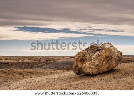 Large Piece of Petrified Wood On Hillside in Petrified Forest National Parj Royalty-Free Stock Photo #2264068333