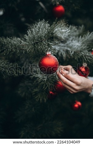 decorates the Christmas tree with red balls in the forest. winter wood. Winter. Merry Christmas.