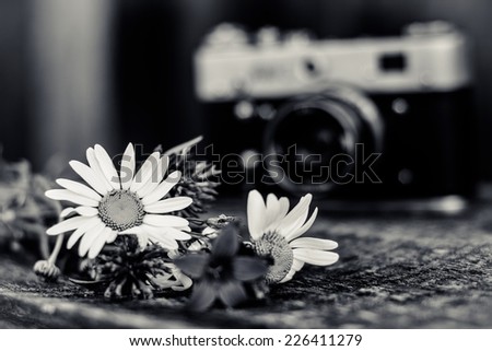On wooden boards are wildflowers near the old camera 