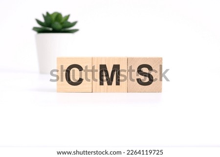 CMS Content Management System acronym on wooden cubes on white background. business concept
