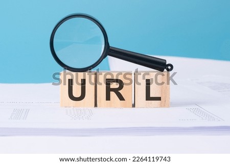 URL word on wooden cubes on a blue background with lens and documents
