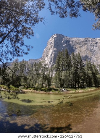 The El Capitan ("the Captain" or "the Chief") is a vertical rock formation in Yosemite National Park, on the north side of Yosemite Valley, near its western end in California, USA. Royalty-Free Stock Photo #2264127761