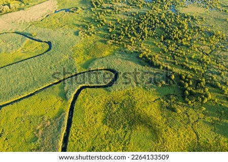 Top down view on exotic winding river in green meadows. Impassable swamps from a bird's eye view. Location place Ukraine, Europe. Textural image of drone photography. Discover the beauty of earth.
